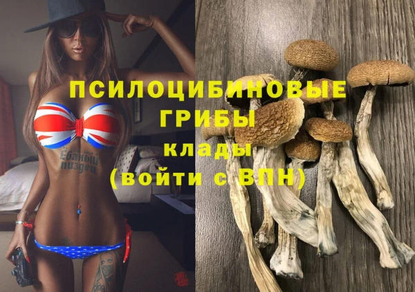 ешки Нея