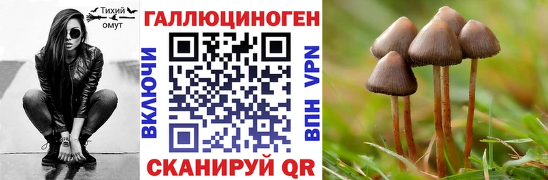 Псилоцибиновые грибы прущие грибы  Купить  Курлово 